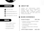 create a professional ats friendly resume